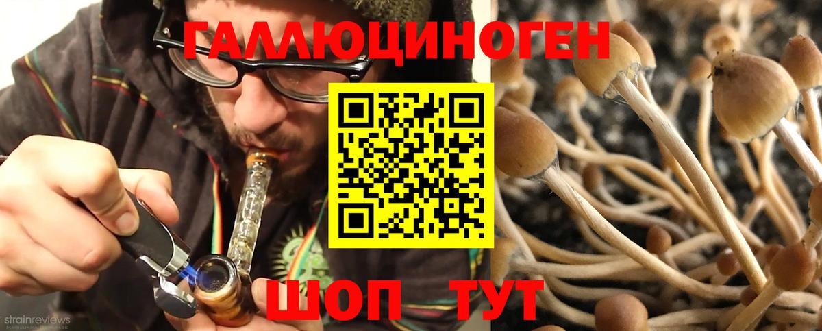 Советск  Галлюциногенные грибы Magic Shrooms  закладка  Вход с VPN 